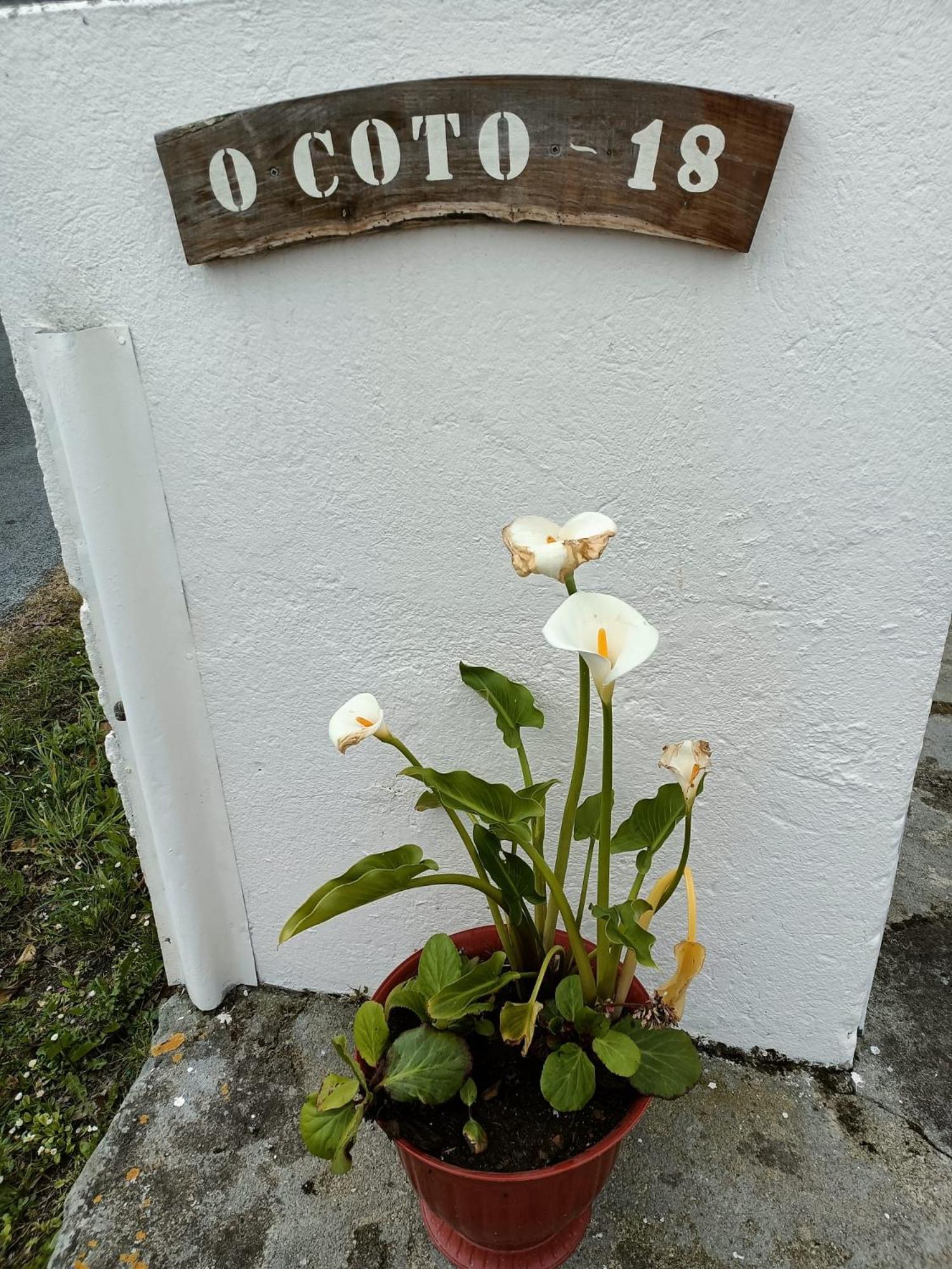 Ferienhaus Casa Pancha Ribadeo